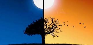 AYDINLIĞA GİDERKEN